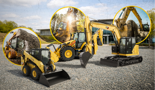 Desford Cat Day 2026